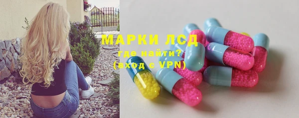 сатива Аркадак