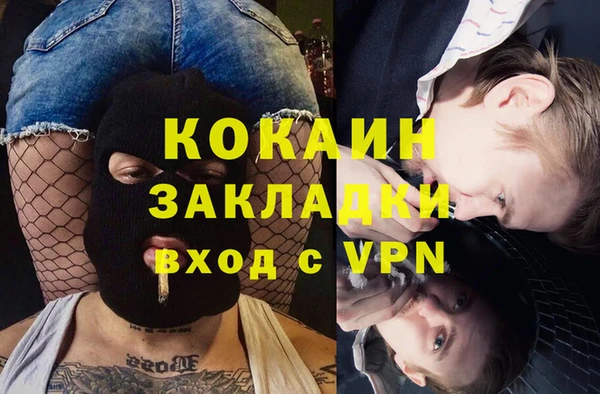 сатива Аркадак
