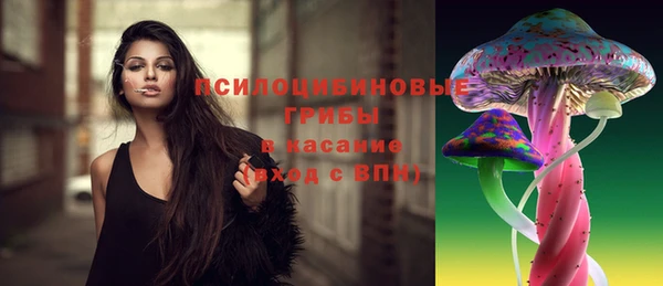 сатива Аркадак