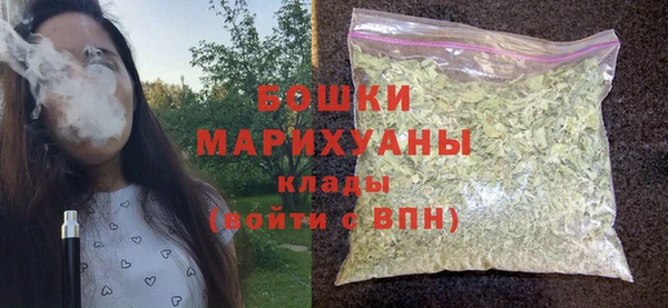 сатива Аркадак