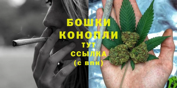 сатива Аркадак
