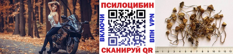 blacksprut ссылки  Богучар  Галлюциногенные грибы прущие грибы  продажа наркотиков 